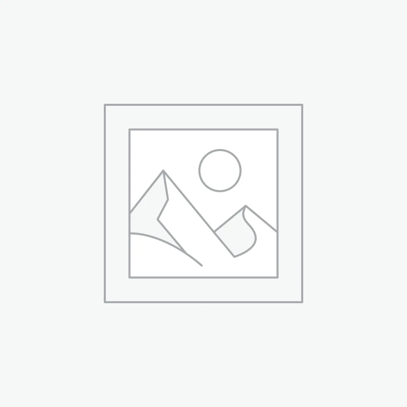 Electric Outboard Motors