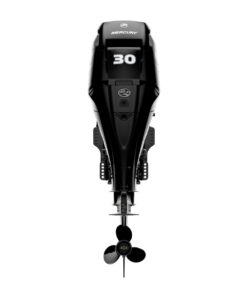 Mercury 30hp EFI Outboard