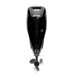 Mercury 75hp EFI Outboard | 75ELPT